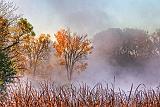 Autumn Morning Mist_29215